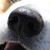 Brenda Koch Mirsberger's profile image