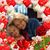 Carolyn Gibson's profile image