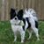 Kathy Olsen-Gallagher's profile image