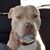 Terri Franck's profile image