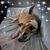 Debbe Johnson Smithers's profile image