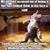 Jennifer Piette's profile image