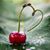 Andrea McGehee's profile image