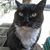 Nat Adsa's profile image