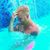 Jordan Haase's profile image