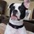 Heather Nunes's profile image