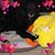 Randy Pat Wekseth's profile image