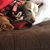 Lisa Wellman Thompson's profile image