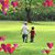 Mary Ann Schnur's profile image