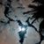 Olga M. Carrazana's profile image