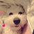 Julie Cruz's profile image