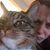 Jenna Rose Fedele's profile image