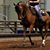 Kathy Kettelkamp Carlson's profile image