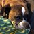 Esther Hurst Schmidt's profile image