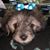 Lexey Semone Lewellen's profile image
