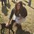 Liz Coggins's profile image