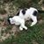 Karen Blankenship's profile image