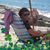 Ginny Flanagan Jacques's profile image