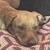Autherene Miller's profile image