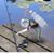 Mike Downes's profile image