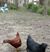 Ann Marie Pleisse's profile image