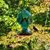 Michelle Townsend's profile image