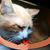 Debbie Kennedy's profile image