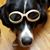 Buffy Snider's profile image