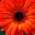 Laura Baker's profile image