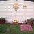 SharonnJoe Scalera's profile image