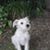 Deborah Sparks's profile image