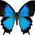 Robin L. Gallegos's profile image