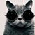 Lee Paquette's profile image