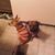 Brandy Rhodes's profile image
