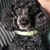 Bernadette Galbraith's profile image