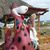 Terry Hamlin's profile image