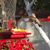 Joyce Buffy Stelle's profile image