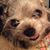 Janeen Young's profile image