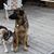 Nancy Fleet Dehay's profile image