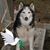 Vicki Lee Hinchy's profile image