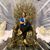 Kellie Finn Womack's profile image