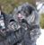 Jill Miller's profile image