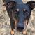 Mandy Malecek's profile image