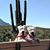 Maureen Fitzgerald's profile image