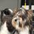 MarSue Reuss's profile image