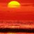 Debra Albright's profile image