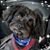 Irene Stolpman's profile image