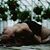 Melanie Elizabeth's profile image