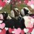 Evelyn Spencer's profile image