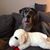 Tracy Snowdon Muller's profile image